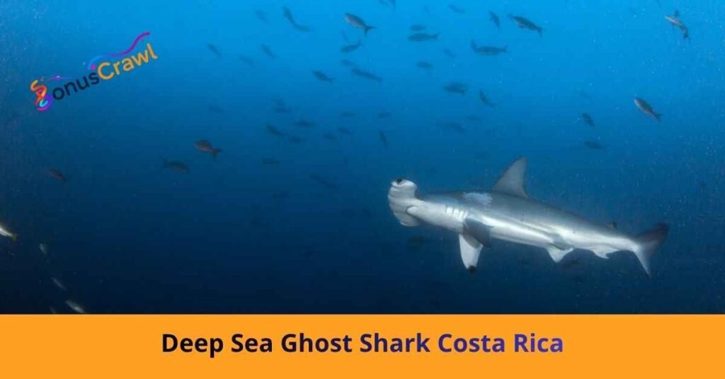 deep sea ghost shark costa rica